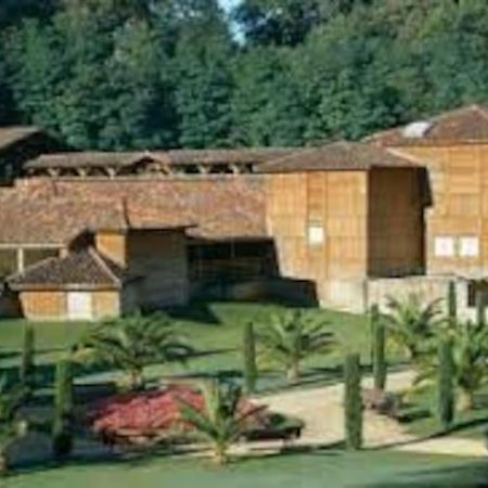 Maison Avec Piscine Proche Des Thermes Mauleon-D'armagnac Kültér fotó